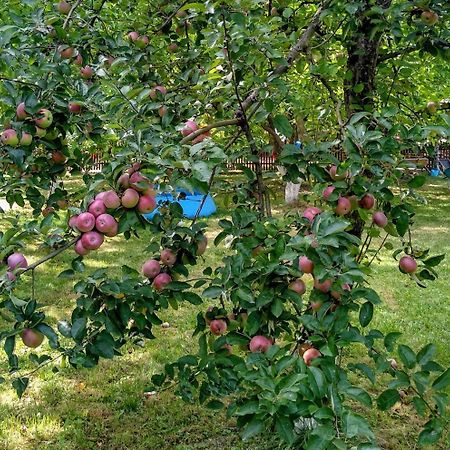 Agroturystyka Lulkowo Casa de hóspedes Exterior foto