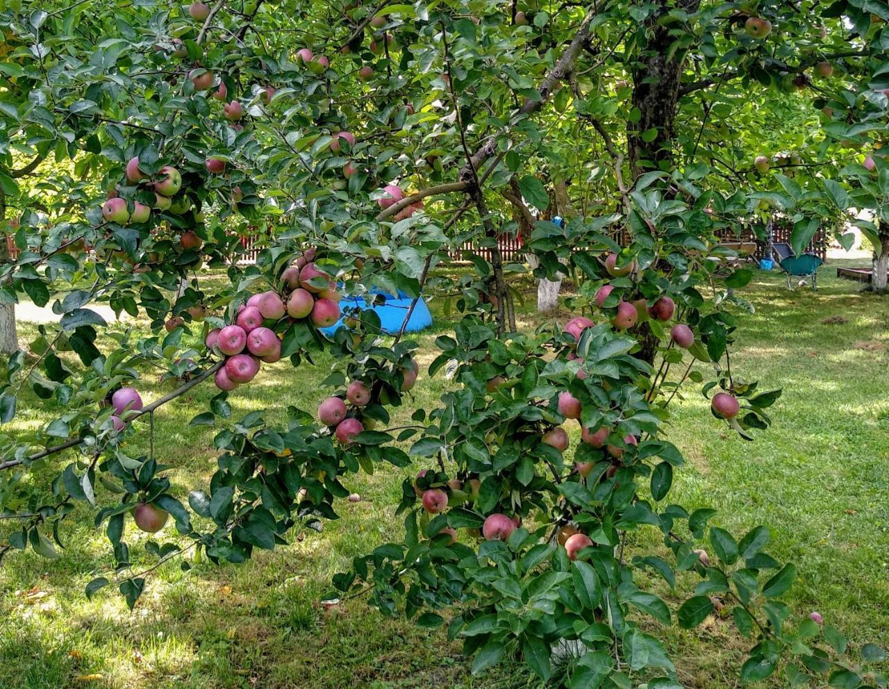 Agroturystyka Lulkowo Casa de hóspedes Exterior foto